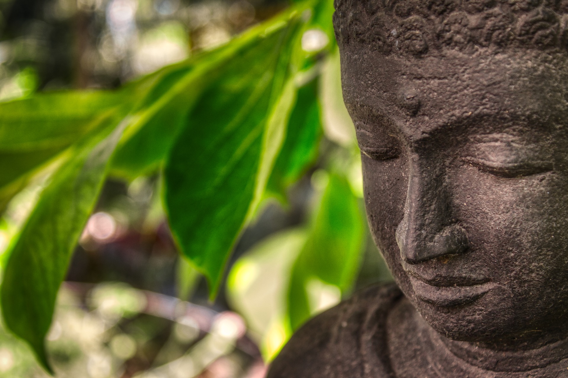 Heiligenfeld Impuls: Heilkraft der Stimme und Qi Gong